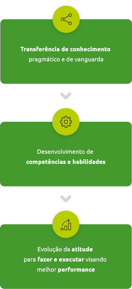 Modelo Brain para impulsionar indivíduos Modelo Brain para impulsionar indivíduos