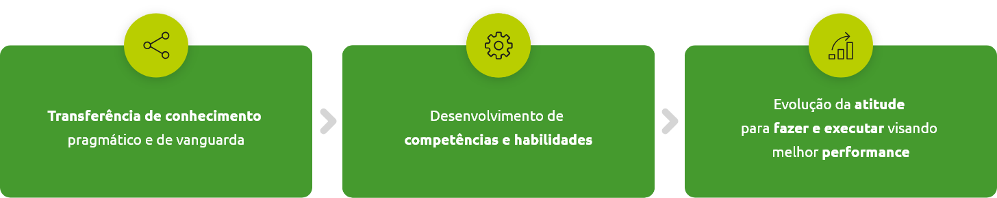 Modelo Brain para impulsionar indivíduos Modelo Brain para impulsionar indivíduos